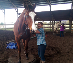 Liz Bunting, Equine Assisted Psychotherapy