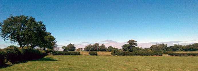 The Fields, Equine Assisted Psychotherapy